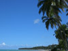 Praia de Peroba, Maragogi-AL